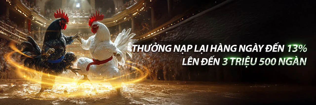 Điều Khoản Dịch Vụ vip777